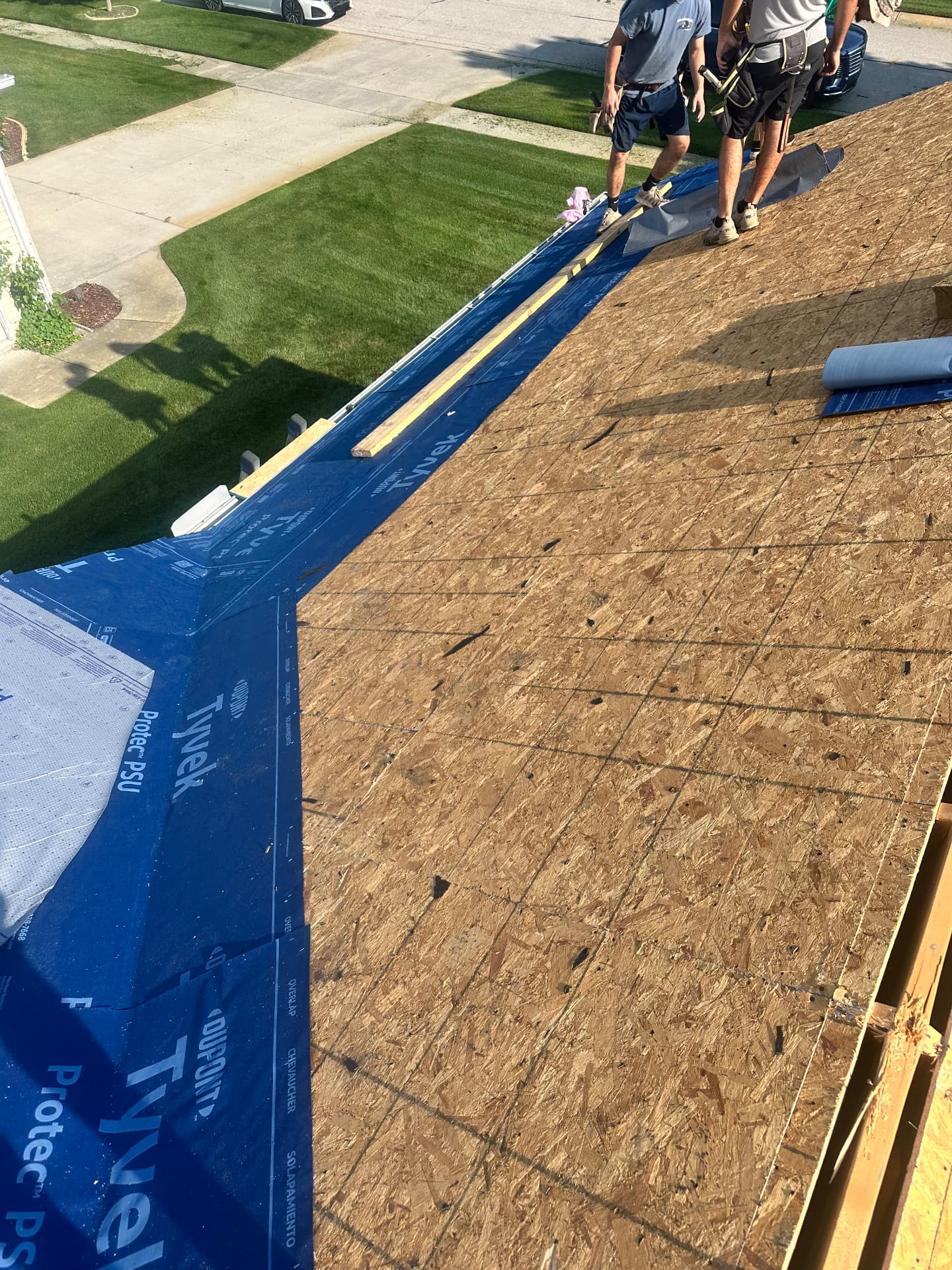 DuPont Tyvek Protec underlayment installed — Dundee, MI